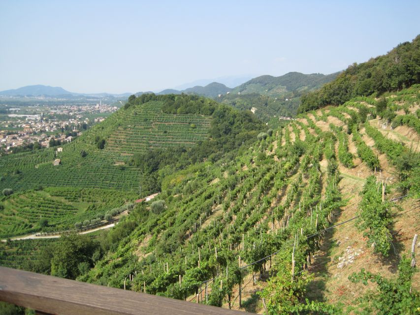 8-Hour Prosecco Wine and Tastings Tour from Venice or Padua - Key points to know