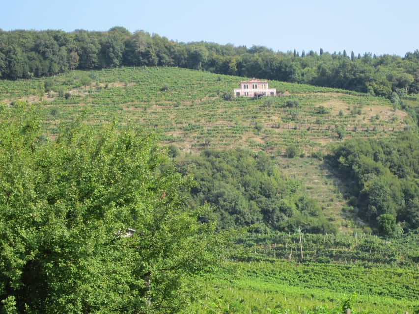 8-Hour Prosecco Wine and Tastings Tour from Venice or Padua - Should you book the Prosecco tour?