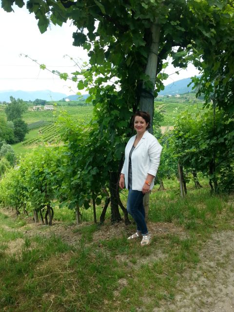 8-Hour Prosecco Wine and Tastings Tour from Venice or Padua - Comparing a large producer with a family cantina