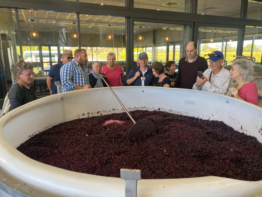 Adelaide: Barossa Premium Wine Tasting tour & Winery Lunch - Rosenvale Vineyards and a more intimate tasting