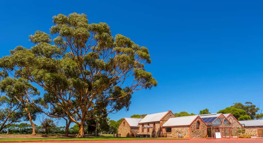 Adelaide: Half-day McLaren Vale & Glenelg Wine Tasting Tour - Why this half-day tour works so well