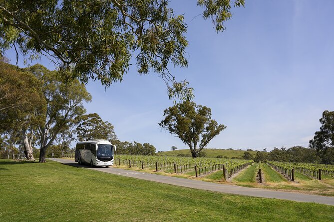 All Inclusive Barossa Valley Food and Wine Tour - Key points to know before you book