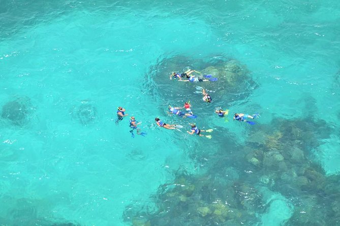 All Inclusive Caribbean adventure, reef snorkeling, Food & Drinks - Group size, language, and organization