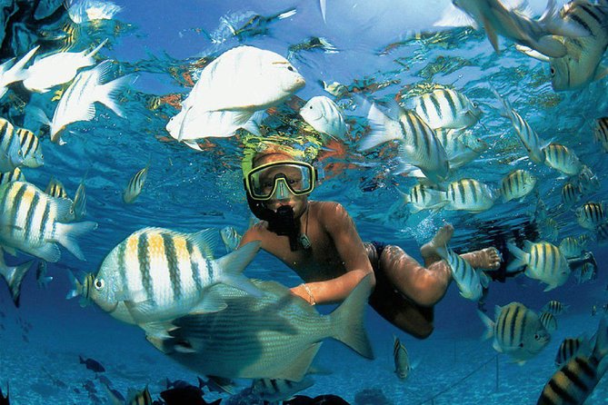 All Inclusive Caribbean adventure, reef snorkeling, Food & Drinks - Sailing across the Caribbean