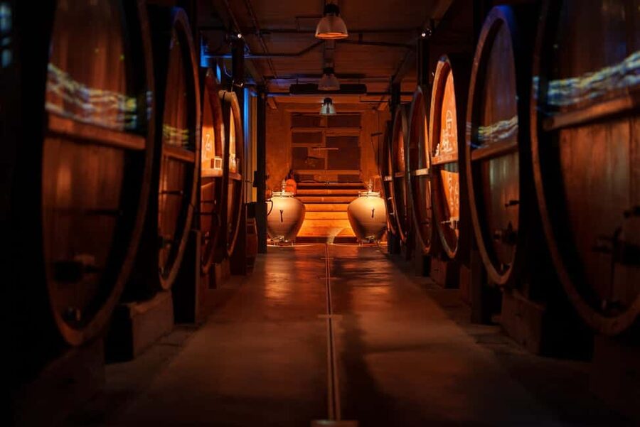 Alsace: Alsatian Wine Tasting Tour and Alsatian Lunch - Vegetarian and children’s options