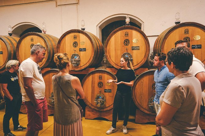 Amarone Wine-tasting Tour from Verona with Private Transportation - First winery: cellar work and a personal welcome