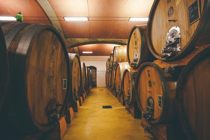 Amarone Wine-tasting Tour from Verona with Private Transportation - Second winery: a different view of Valpolicella