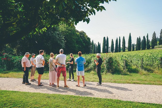Amarone Wine-tasting Tour from Verona with Private Transportation - The four-hour schedule and its one drawback