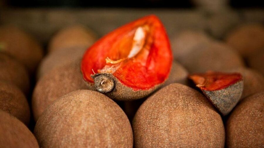 Antigua Guatemala: Street Food Walking Tour with Tastings - Dietary needs and changing routes