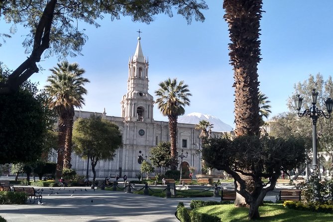 Arequipa Walking Tour city center and drinks experience - Guides, group size, and the tone of the walk