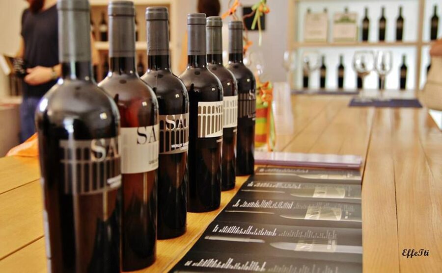Assisi: Wine tasting, gourmet pairing, walk in the vineyards - What the 1.5-hour schedule feels like