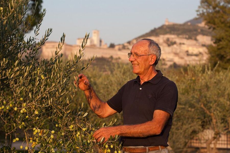 Assisi: Wine tasting, gourmet pairing, walk in the vineyards - FAQ