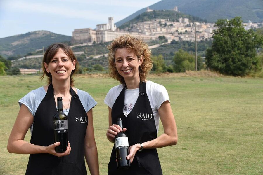 Assisi: Wine tasting, gourmet pairing, walk in the vineyards - Following the vineyard path