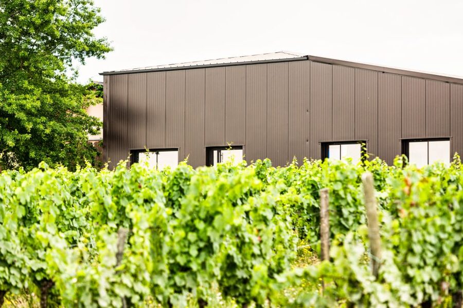 At the gates of Toulouse : Gourmet Tour - Walk and Tastings - The cellar visit gives the outing its substance