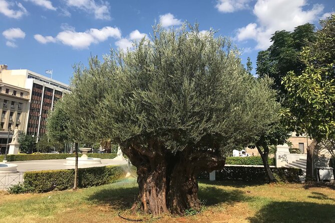 Athens by E-Bike: Monuments, Food & Transfers (Cruise Tour) - The Panathenaic Stadium and Presidential Mansion