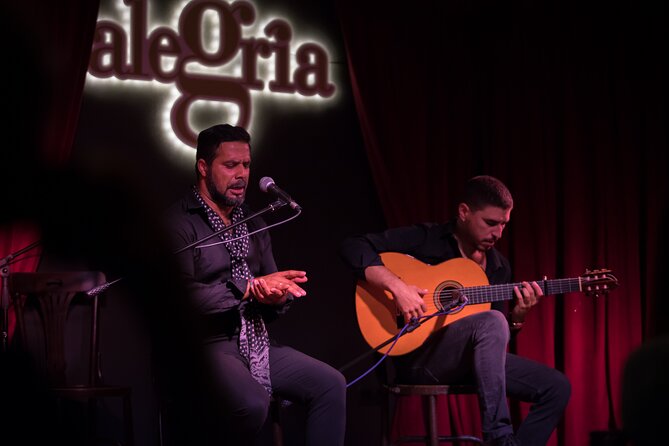 Authentic flamenco show. Alegria and gastronomy Malaga - The performers: guitar, song, and dance in balance