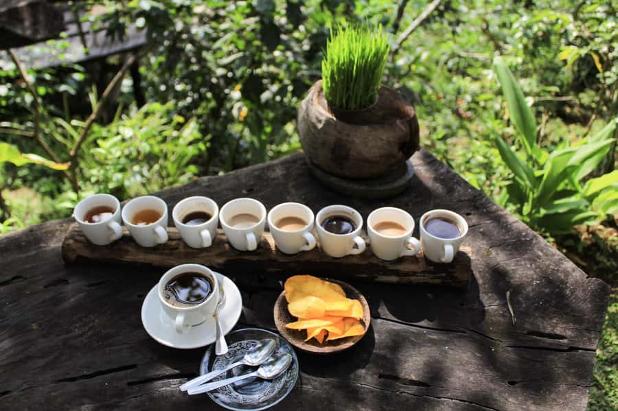 Bali: Authentic Culinary Street Food Experience Tour - Babi guling and the first serious meal