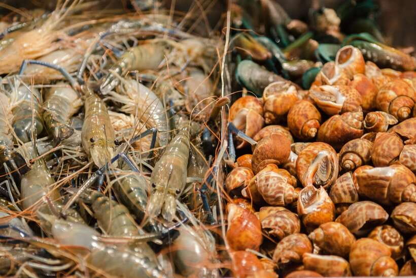 Bangkok: Chinatown Night Food Tour - Key points to know before booking