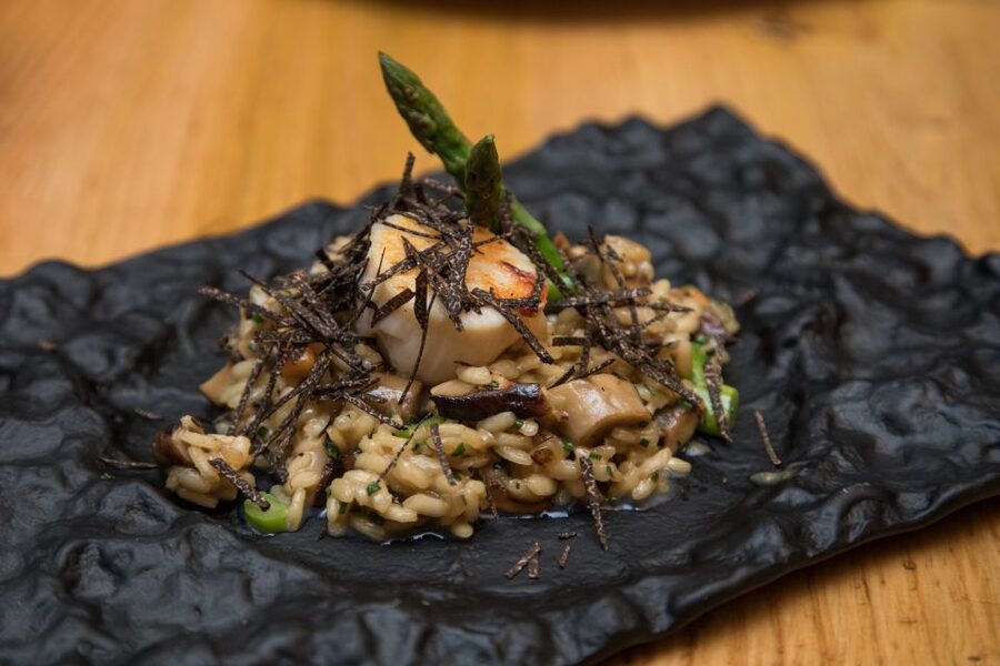 Barcelona Gourmet Food & Wine Tour with Local Expert - Group size, walking, and the overall mood