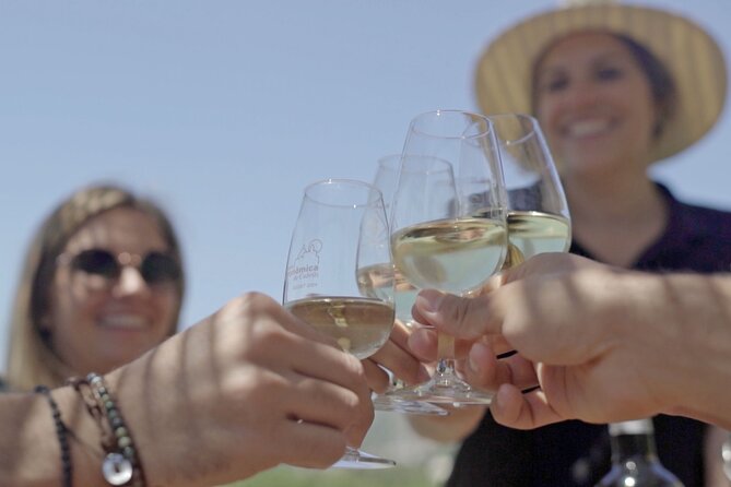 Barcelona Sailing Adventure and Small Group Winery Tasting Tour - Alella’s Family Winery and Mediterranean Setting