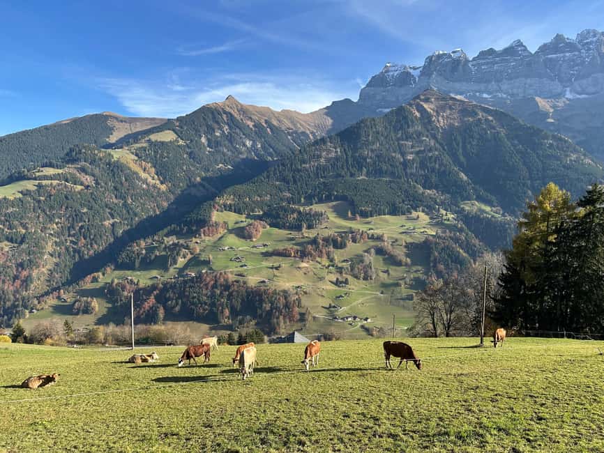 Basel: Local Cheese Tasting Tour with a Cheese Sommelier - Binningerstrasse 15: finding the starting point