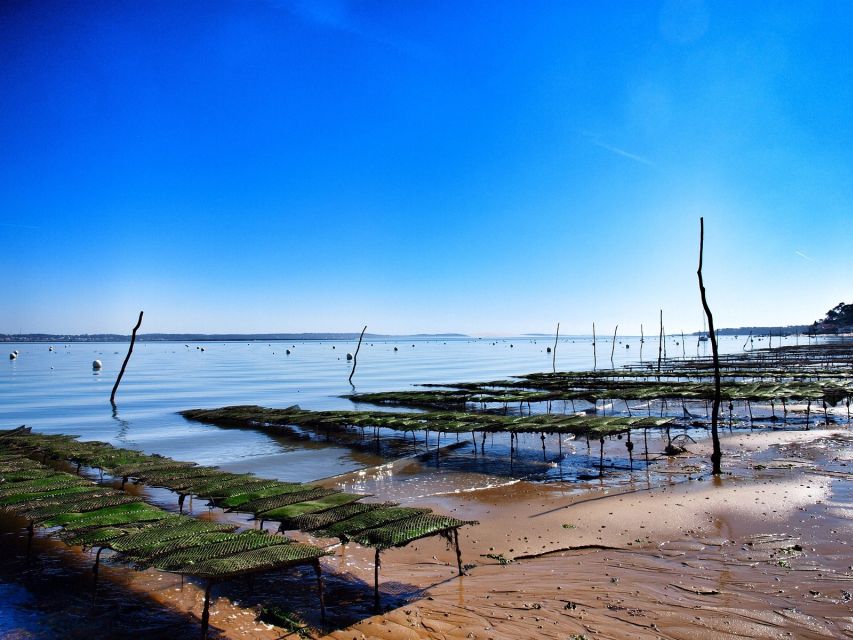 Bay of Arcachon: Guided Food Tour - What the $76 price really covers
