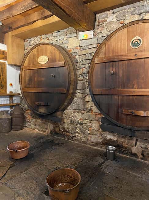 Bayonne: Guided Food Walking Tour (with Food and Drinks) - Basque cider and sheep’s milk cheese