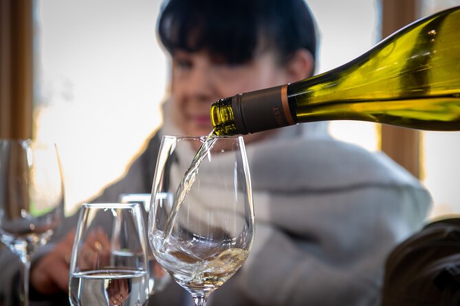 Beyond the Vines - Full-Day Marlborough Wine Tasting Tour - Five wineries in six hours