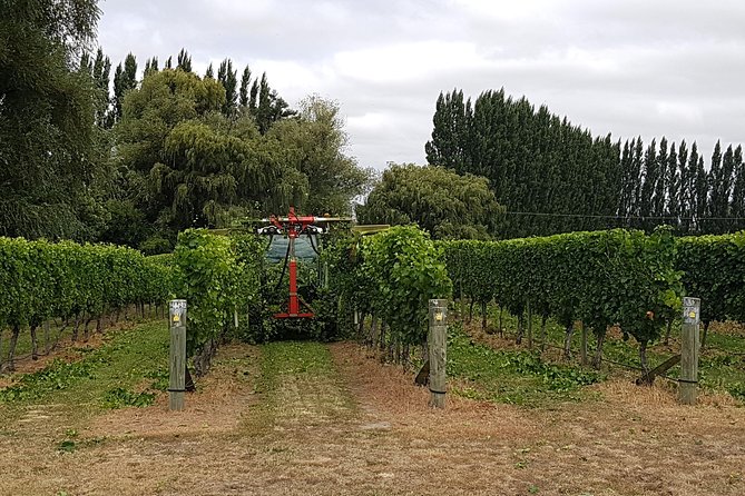 Beyond the Vines - Full-Day Marlborough Wine Tasting Tour - Small groups make the day more personal