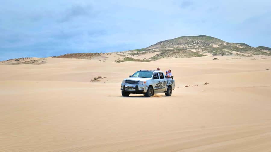 Boa Vista: Shark, Turtles, Cave, Sandboarding & Tasting Tour - Key points to know before you book