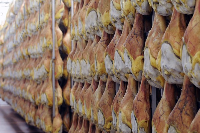 Bologna Food Experience: Factory tours & Family-Style Lunch - The family-style lunch, pasta, wine, and music