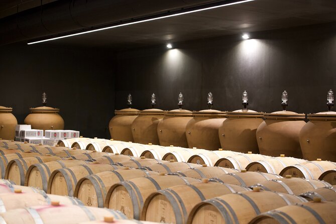 Bordeaux : Full Day Wine Tastings & Gourmet Lunch - What 10 to 12 tastings really means