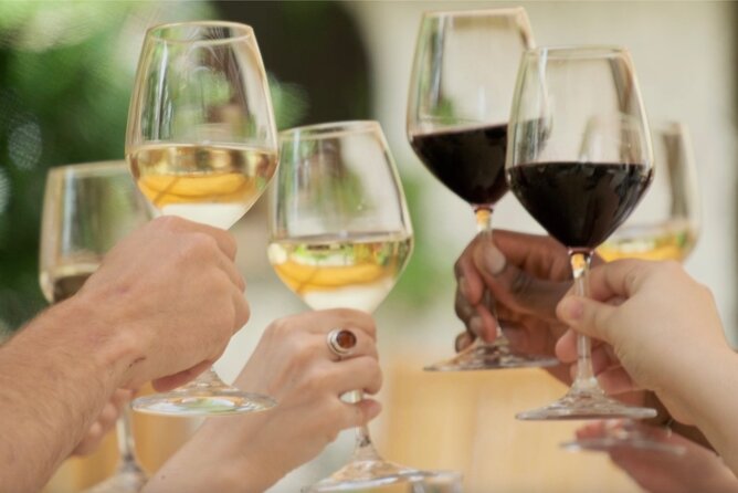 Bordeaux : Full Day Wine Tastings & Gourmet Lunch - The return ride to Bordeaux