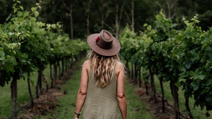 Brisbane: Boutique Winery Tour with Gourmet Lunch - Tamborine Mountain makes the setting part of the tour
