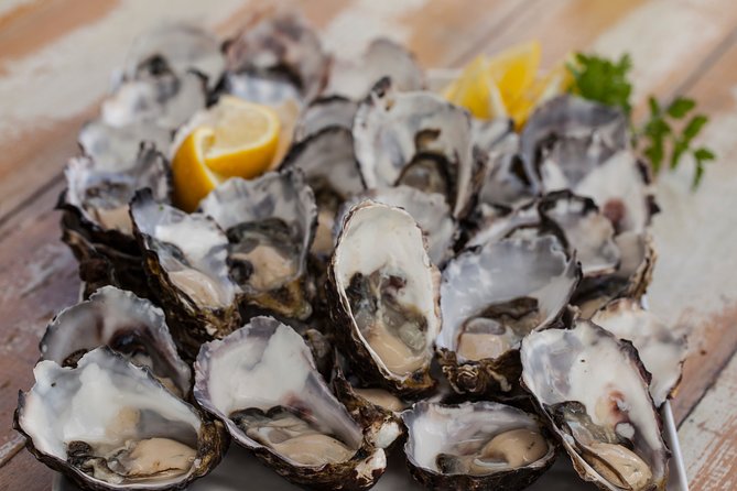 Bruny Island Traveller - Gourmet Tasting and Sightseeing Day Trip from Hobart - Cheese, bread, beer and other early tastings