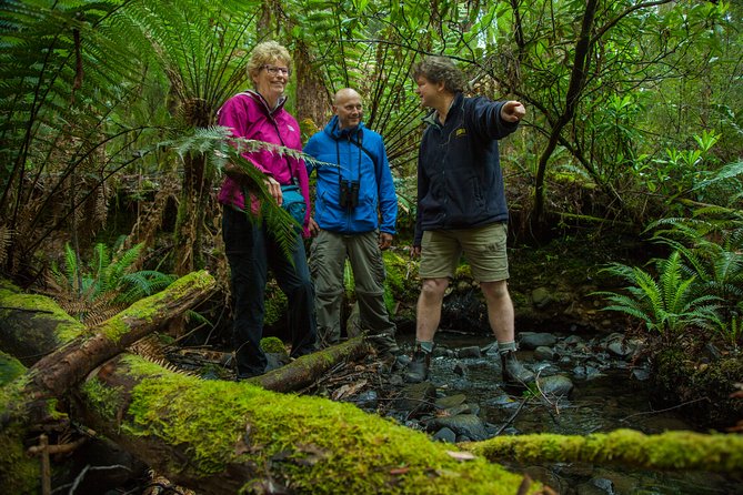 Bruny Island Traveller - Gourmet Tasting and Sightseeing Day Trip from Hobart - The Neck lookout and Bruny’s best wide view