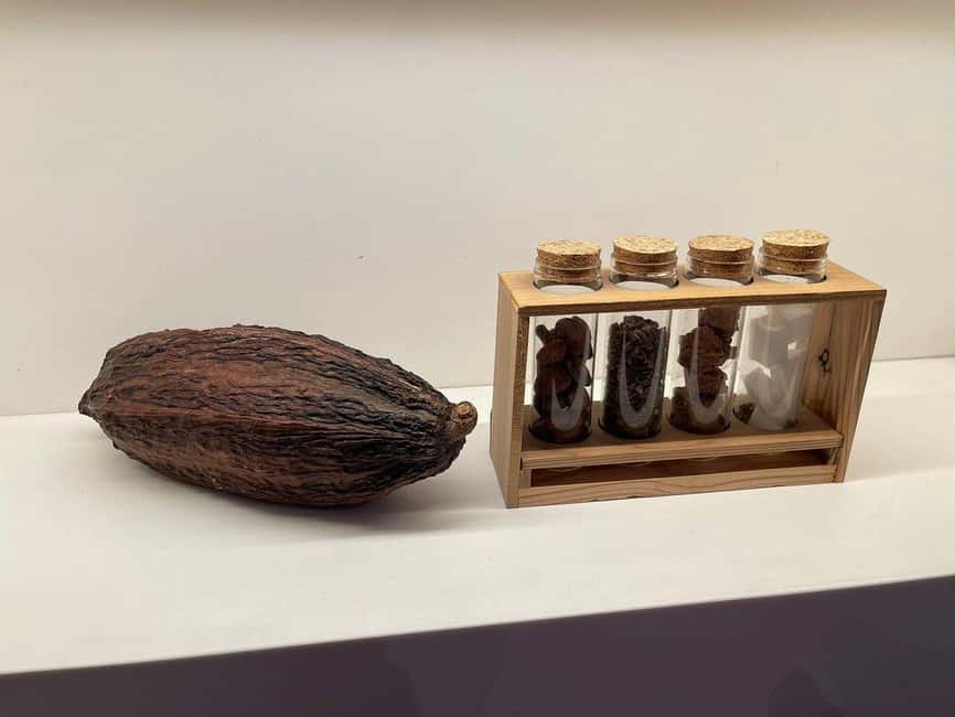 Brussels: Chocolate Appreciation and Tasting Walking Tour - How the chocolate lesson works