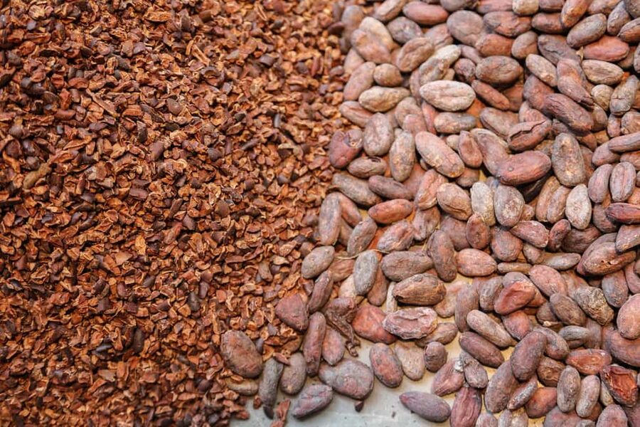Brussels: Chocolate Appreciation and Tasting Walking Tour - Is $45 good value?