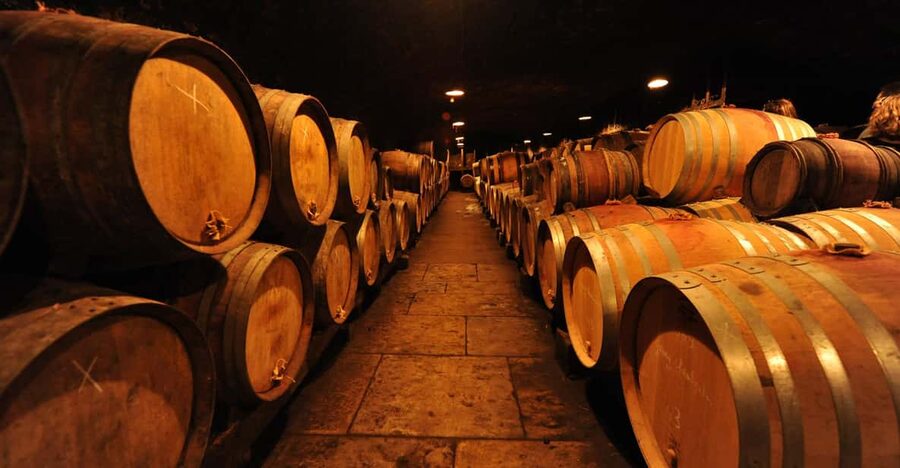 Burgundy Wines Full-Day Tasting Tour from Dijon - The Corton hills and the Côte de Beaune