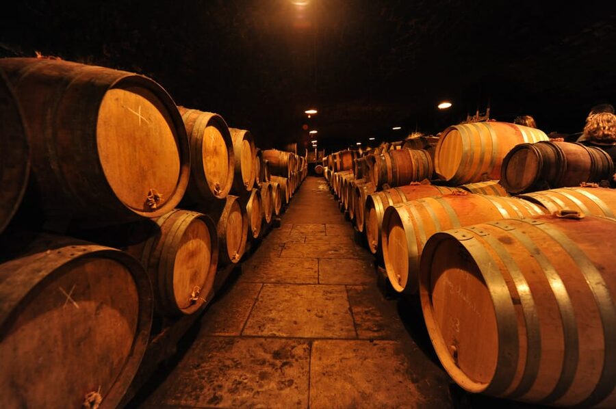 Burgundy Wines Full-Day Tasting Tour from Dijon - Walking through the Côte de Nuits