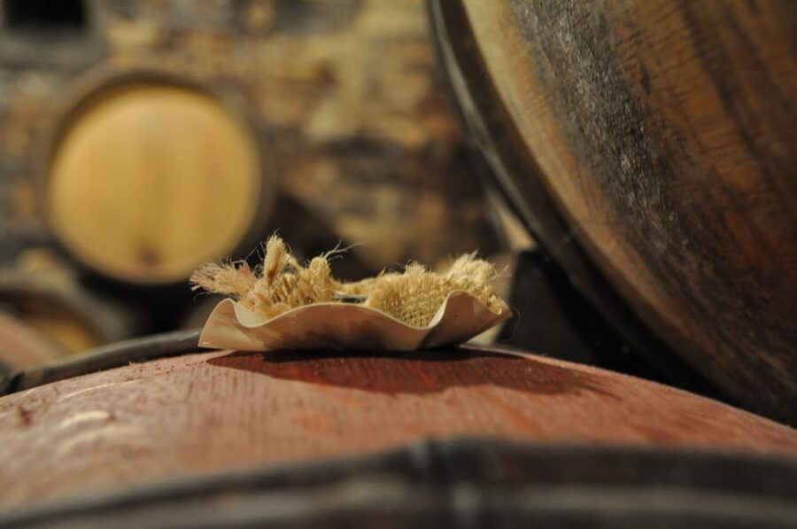 Burgundy Wines Full-Day Tasting Tour from Dijon - Who should book this tour?