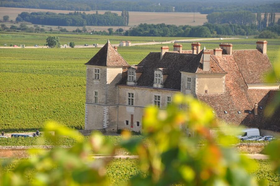 Burgundy Wines Full-Day Tasting Tour from Dijon - Meeting in Dijon at 9:45 AM