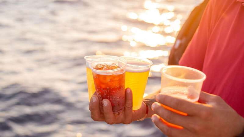 Cabo San Lucas: 2 Hour Sunset Cruise with Food and Wine - Setting sail from Cabo San Lucas