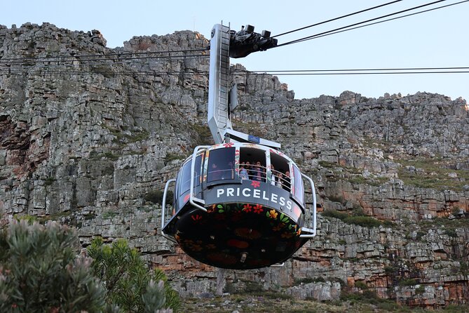 Cape Town: Cape of Good Hope, Table Mountain & Wine Tasting Tour - A full Cape Town day without the planning burden