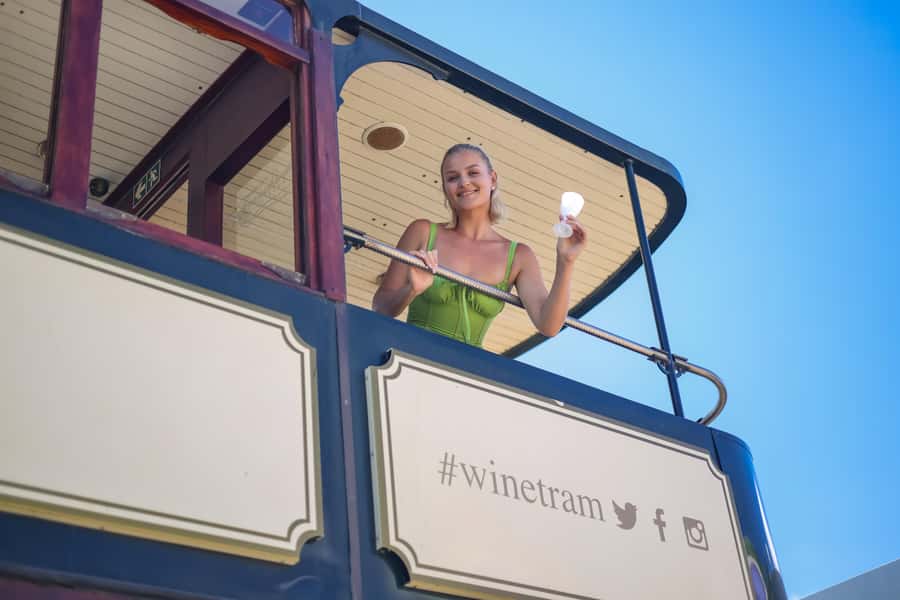 Cape Town: Full-Day Wine Tasting Tour with Wine Tram - Key points at a glance