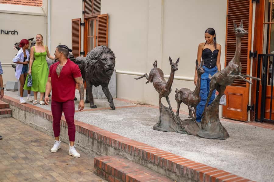 Cape Town: Full-Day Wine Tasting Tour with Wine Tram - Who will enjoy this wine-country day
