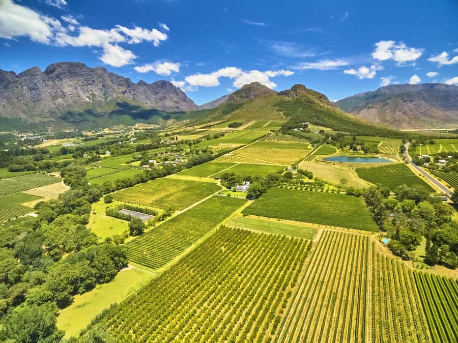 Cape Town: Full-Day Wine Tasting Tour with Wine Tram - Franschhoek gives you time for lunch and a town walk