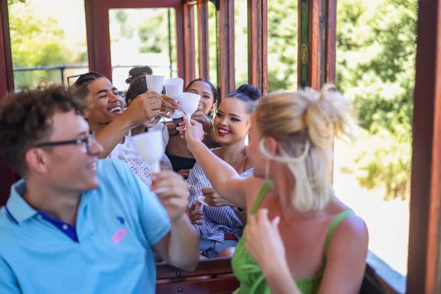Cape Town: Full-Day Wine Tasting Tour with Wine Tram - The Mandela stop on the return drive