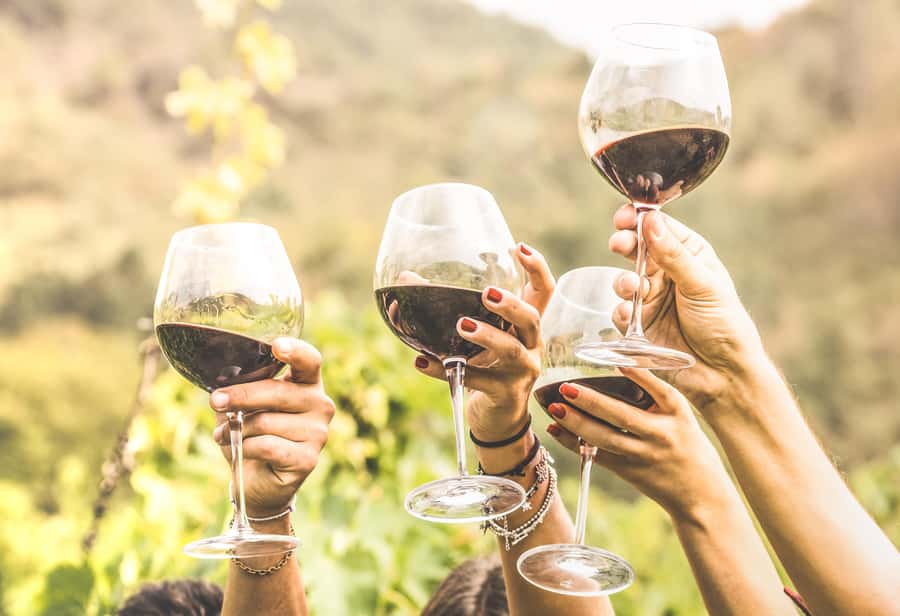 Cape Town: Full-Day Wine Tasting Tour with Wine Tram - Price, pace, and what is included