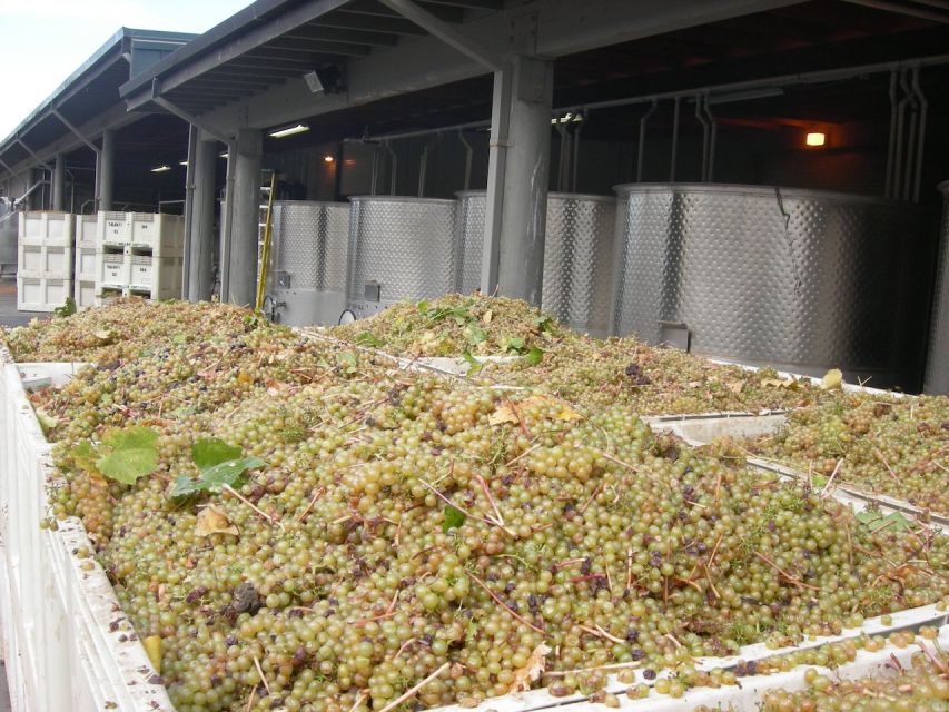 Carmel Valley Wine Tasting Tour - Should you book it?
